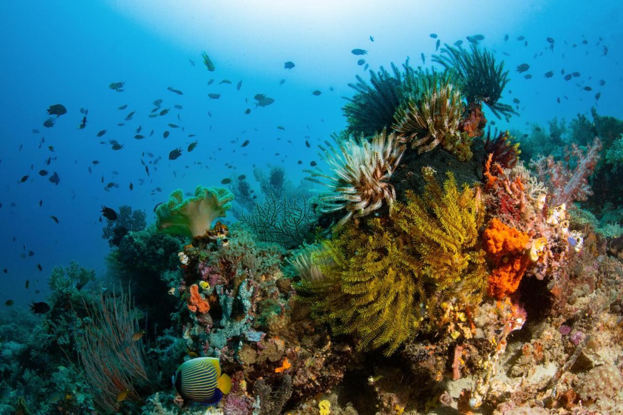 Metita Beach & Dive Resort Daruba Ngoại thất bức ảnh