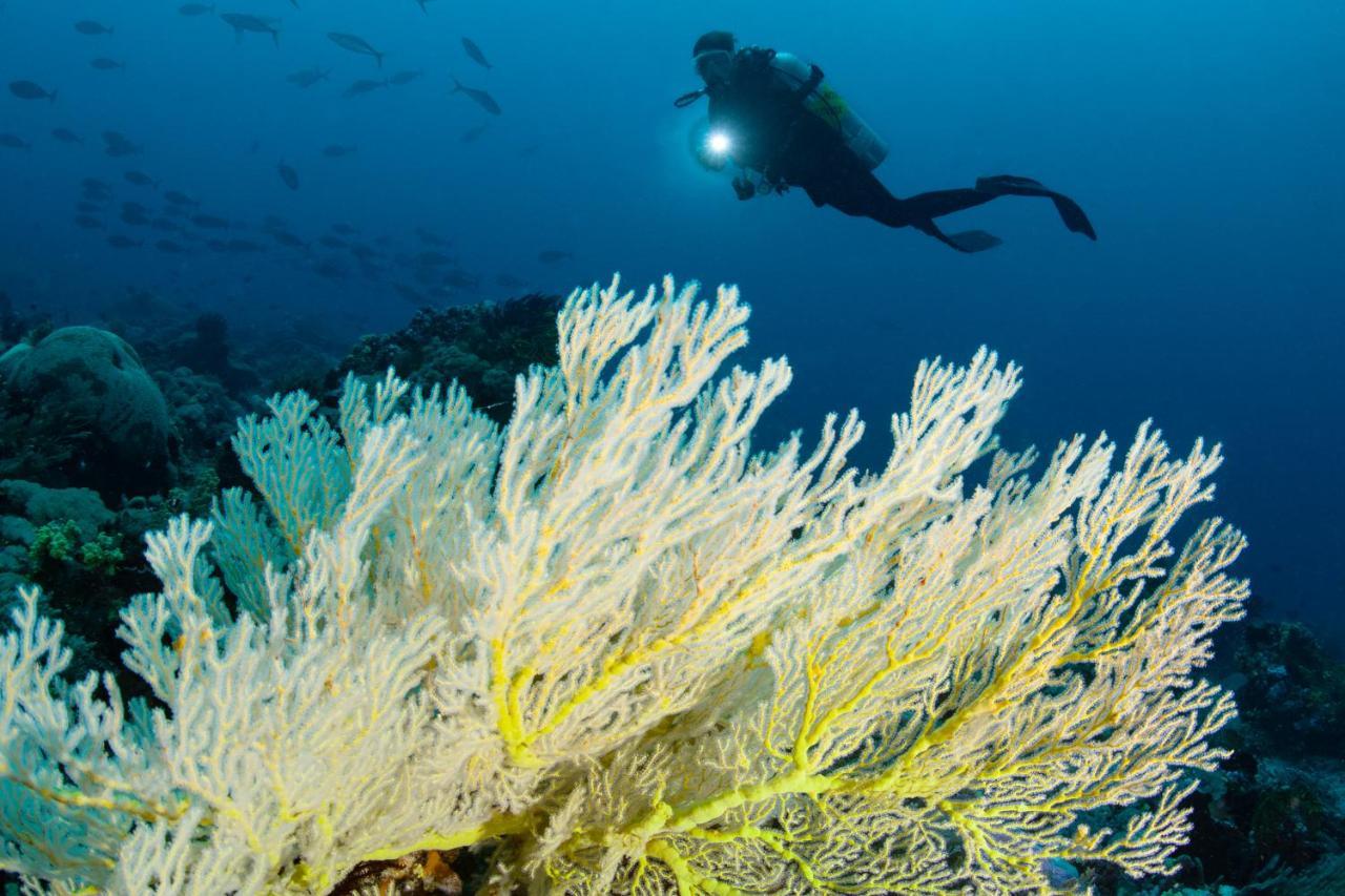 Metita Beach & Dive Resort Daruba Ngoại thất bức ảnh